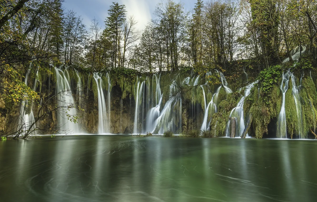 Photo wallpaper forest, nature, waterfall