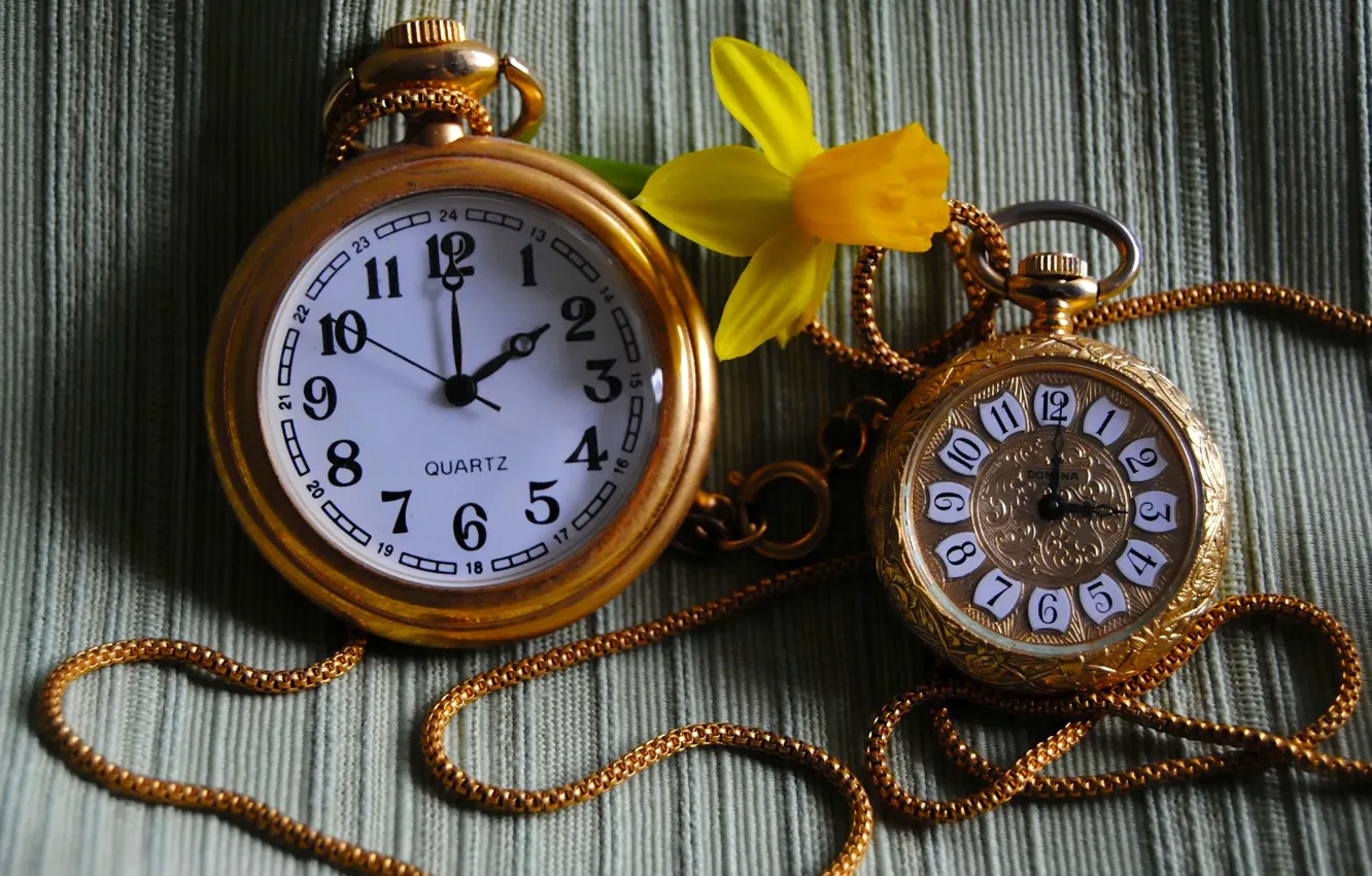 Photo wallpaper flowers, watch, daffodils