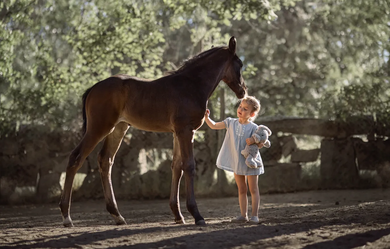 Photo wallpaper mood, girl, foal