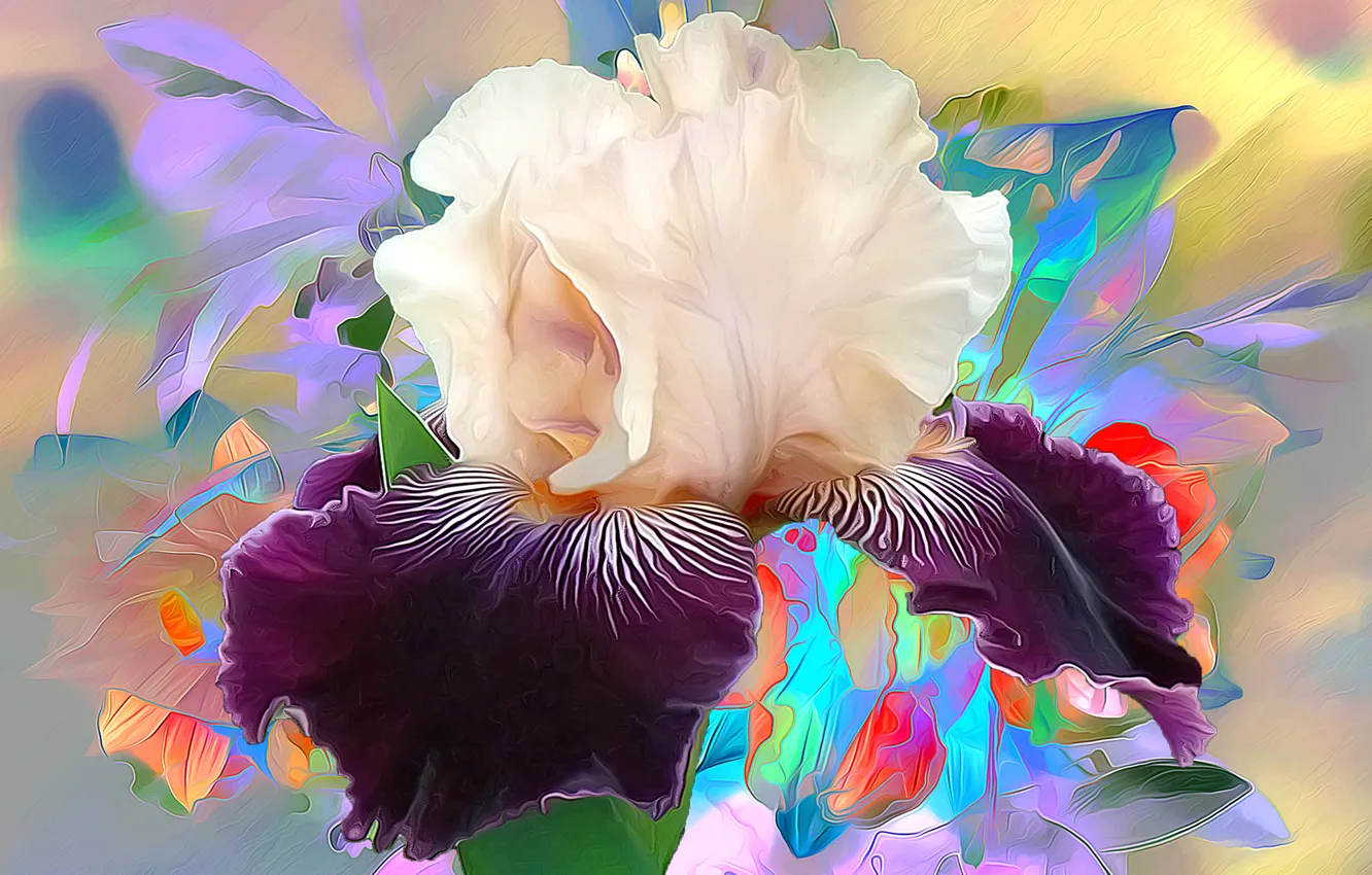 Photo wallpaper macro, rendering, petals, iris