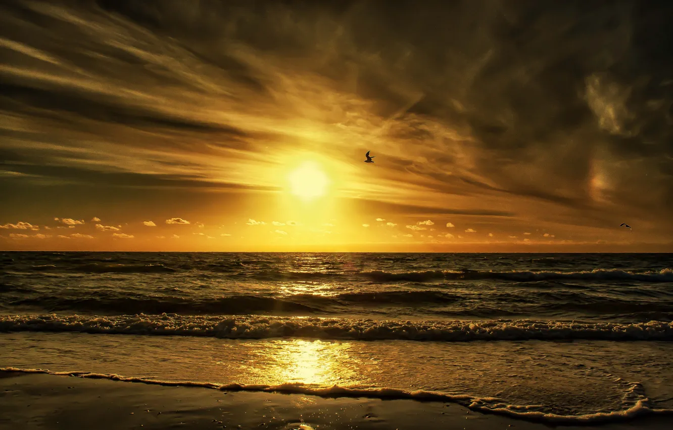 Photo wallpaper sea, the sky, the sun, clouds, sunset, bird