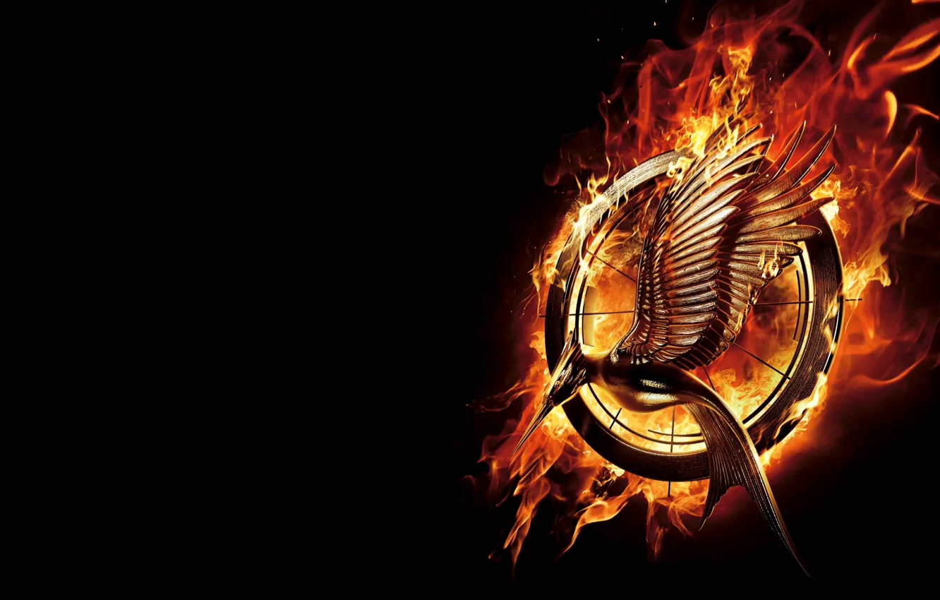 Photo wallpaper fire, emblem, Katniss Everdeen, Katniss Everdeen, The Hunger Games 2, The Hunger Games 2, The …