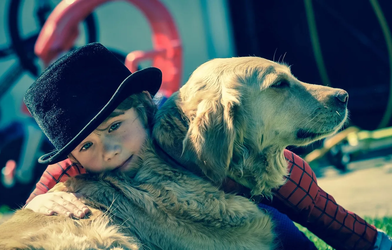 Photo wallpaper each, dog, hat, boy