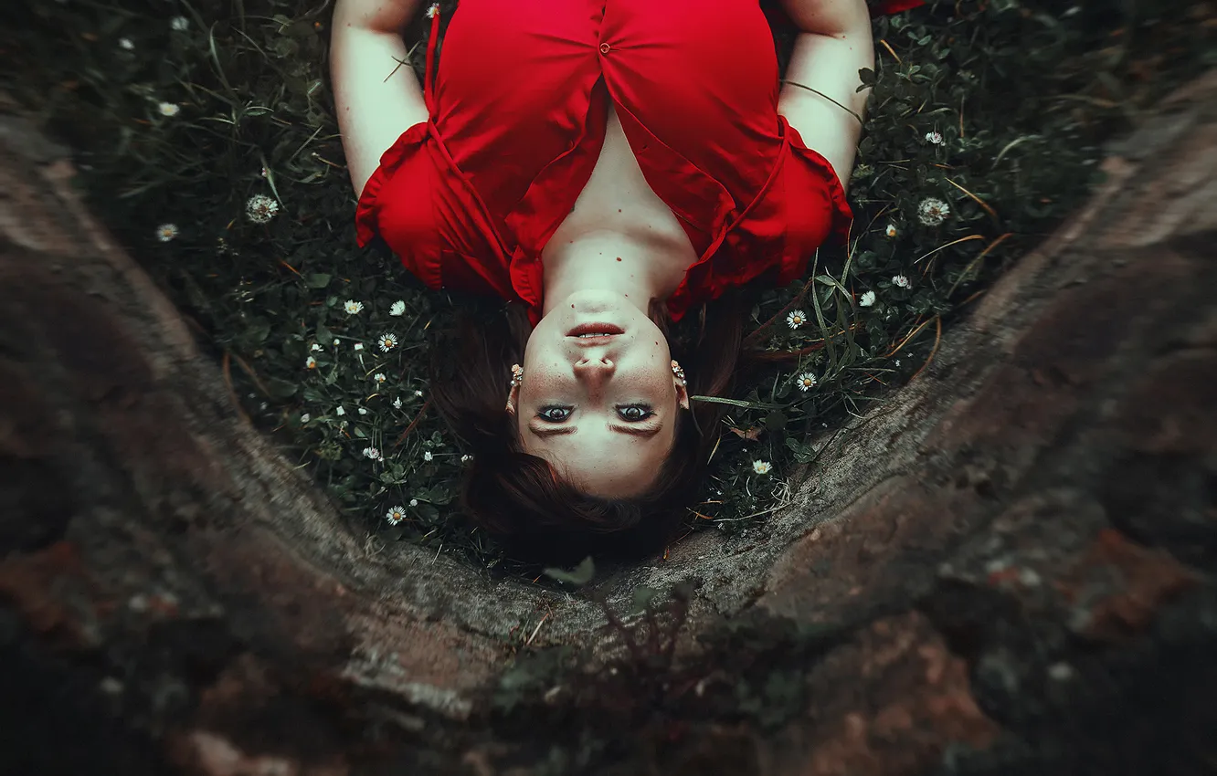 Photo wallpaper forest, grass, girl, trees, Ronny Garcia