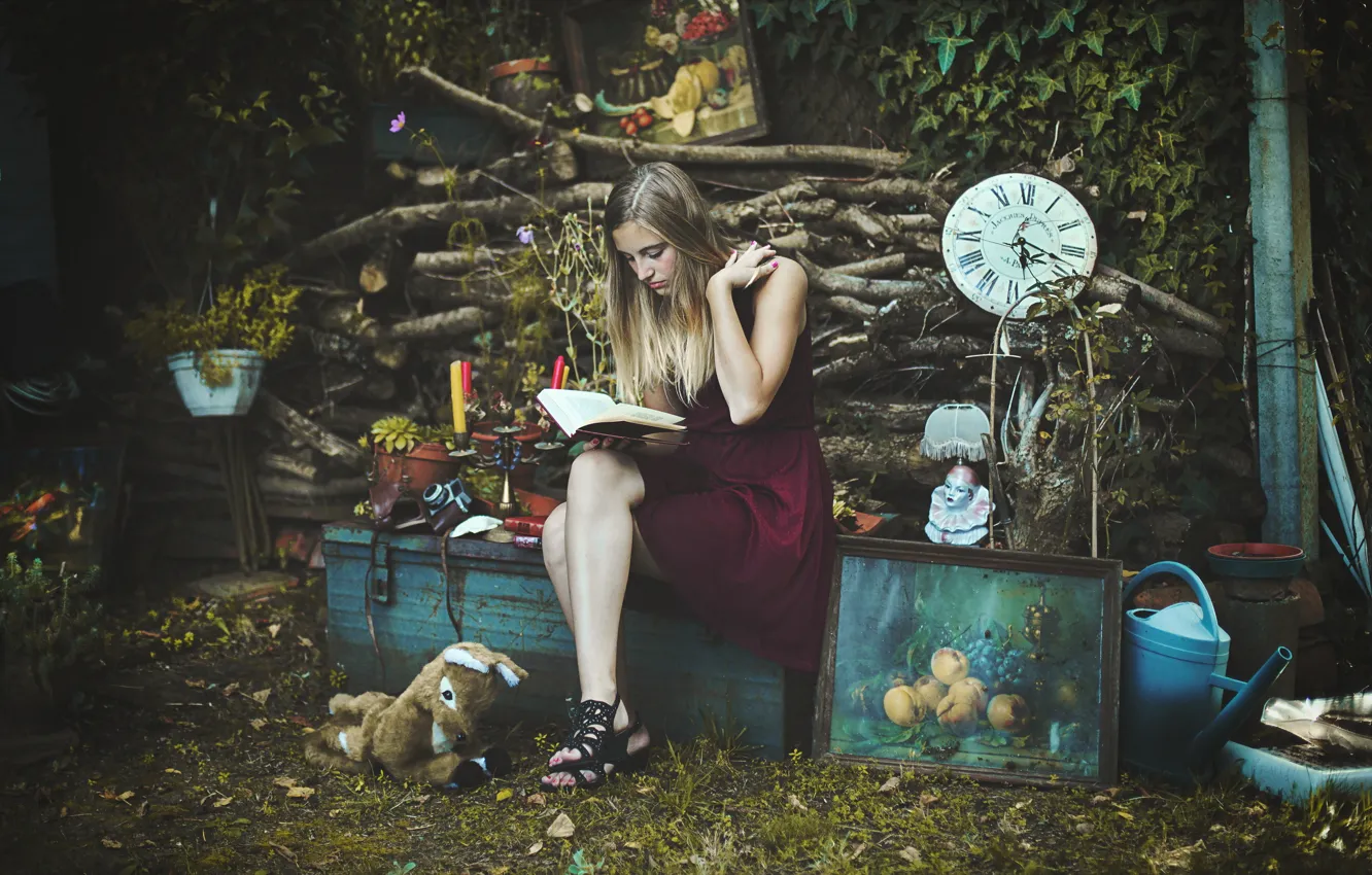 Photo wallpaper girl, pose, book