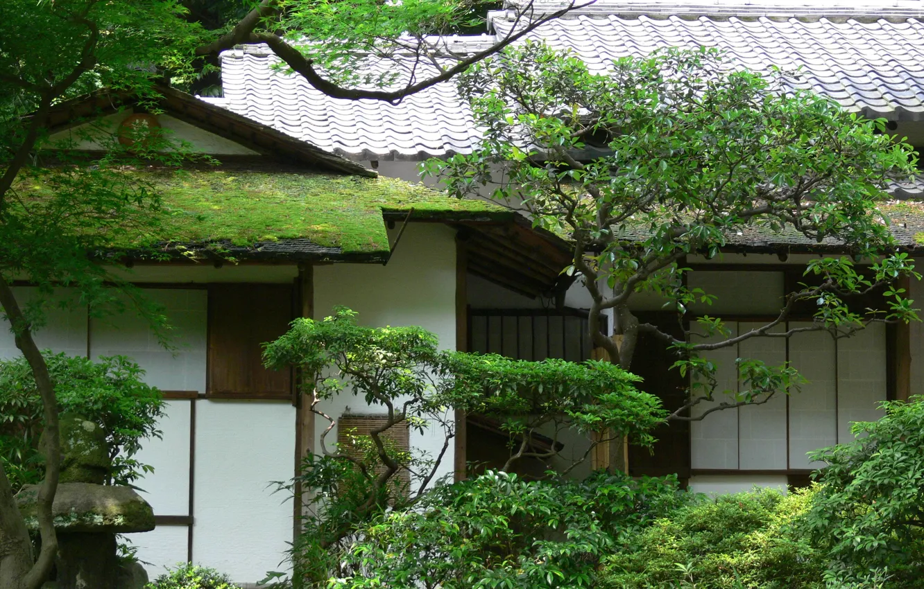 Photo wallpaper roof, greens, trees, house, moss, garden, Asia, tile