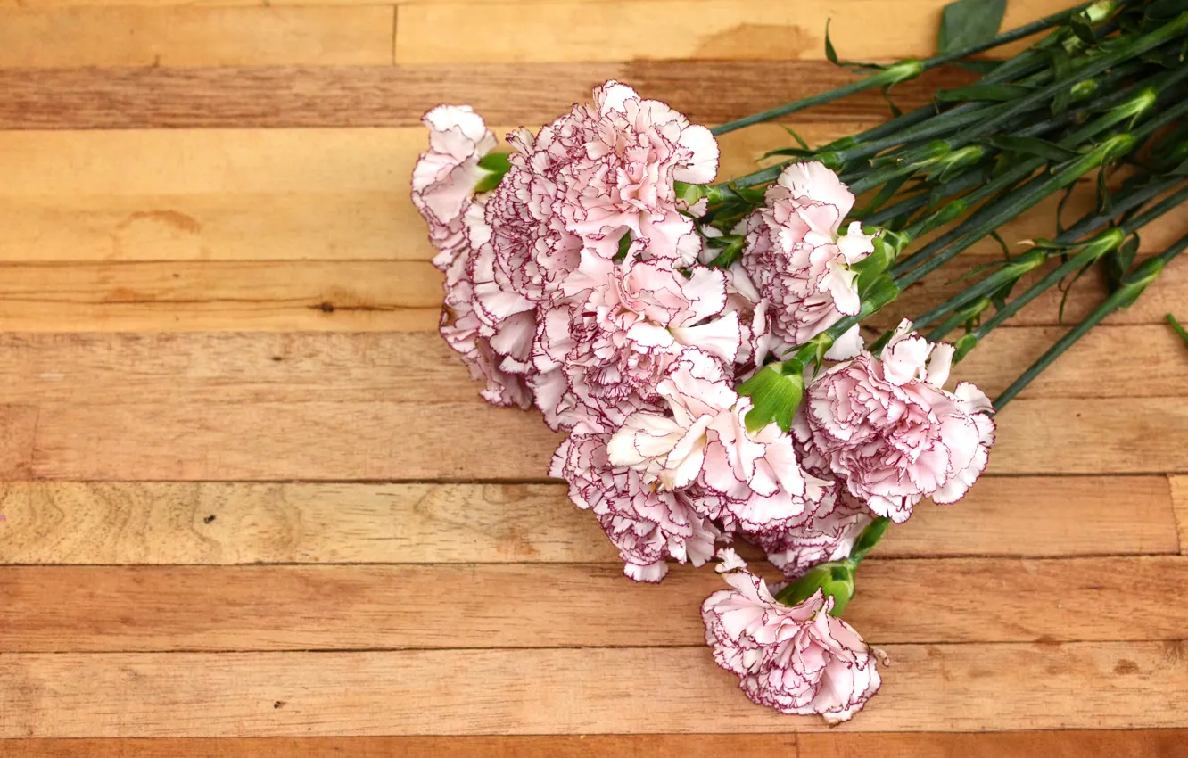 Photo wallpaper flowers, bouquet, Clove