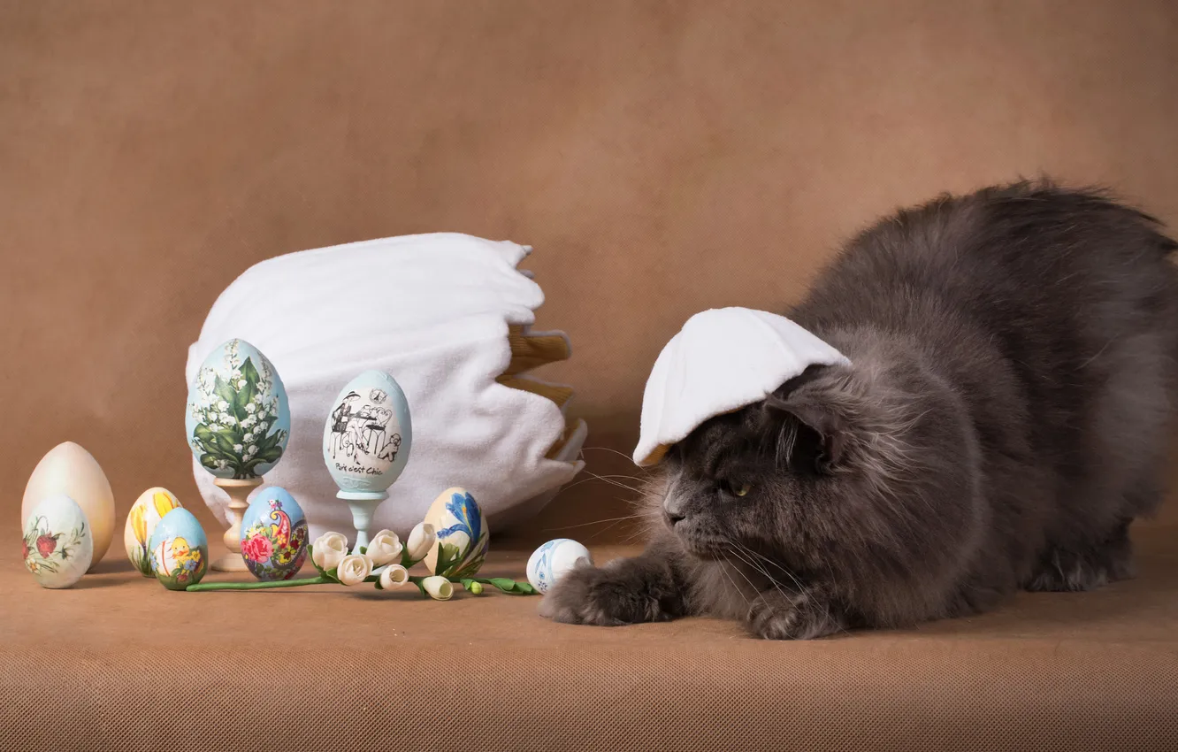 Photo wallpaper cat, cat, look, pose, grey, holiday, the game, eggs