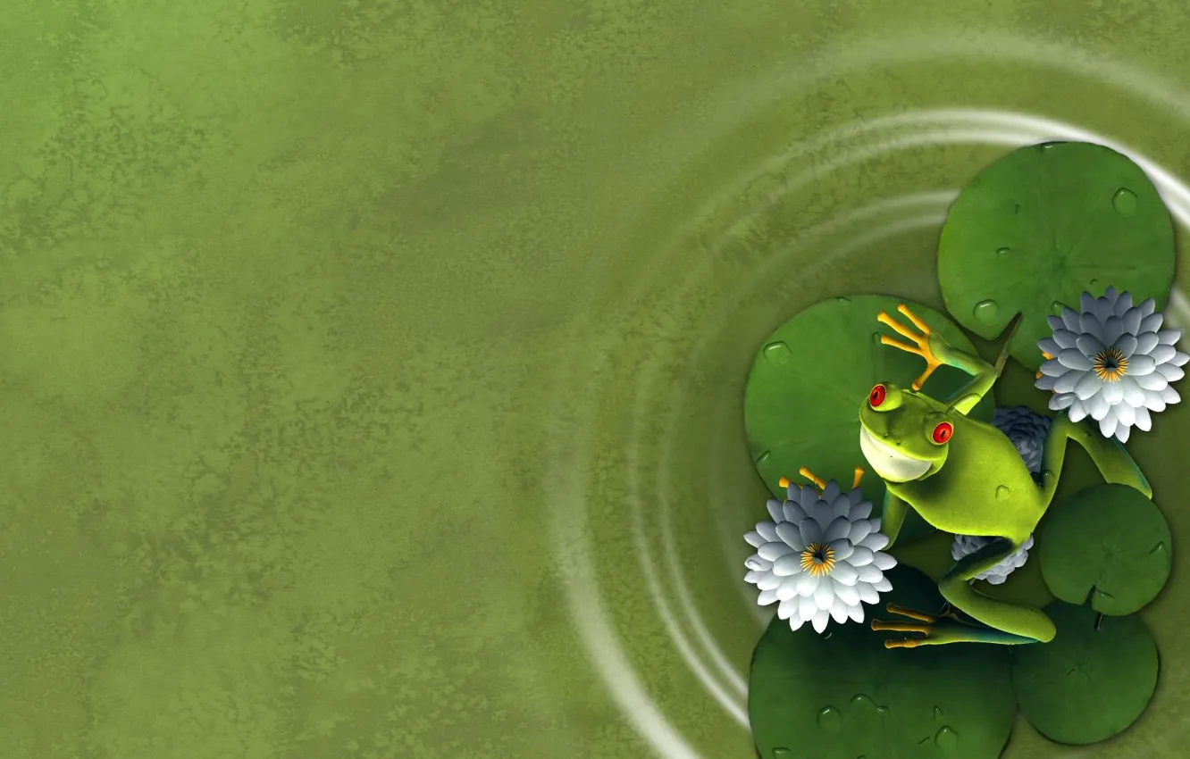 Photo wallpaper flower, leaves, frog