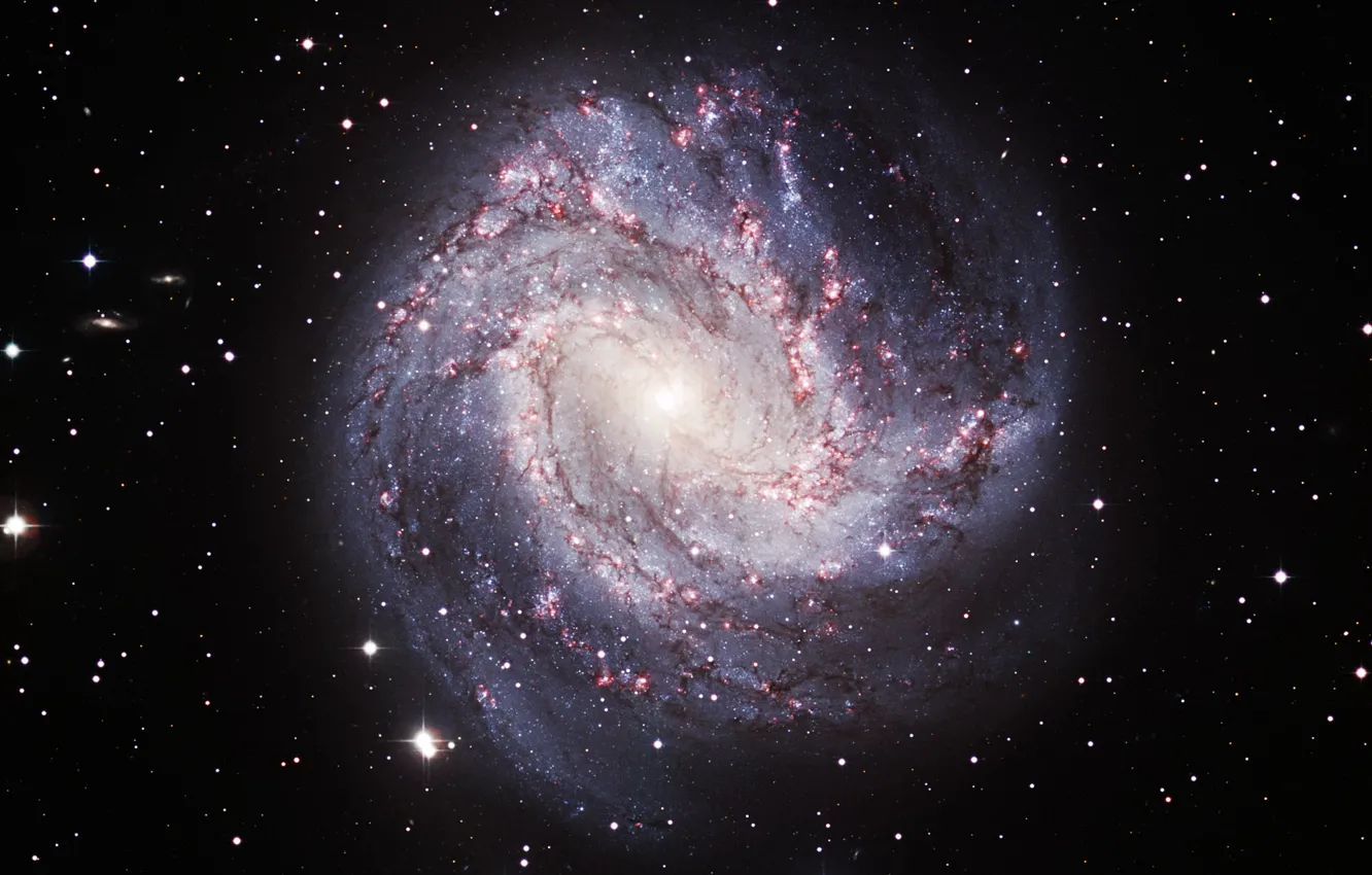 Photo wallpaper galaxy, constellation, spiral, Hydra, NGC 5236, M 83, The Southern Pinwheel