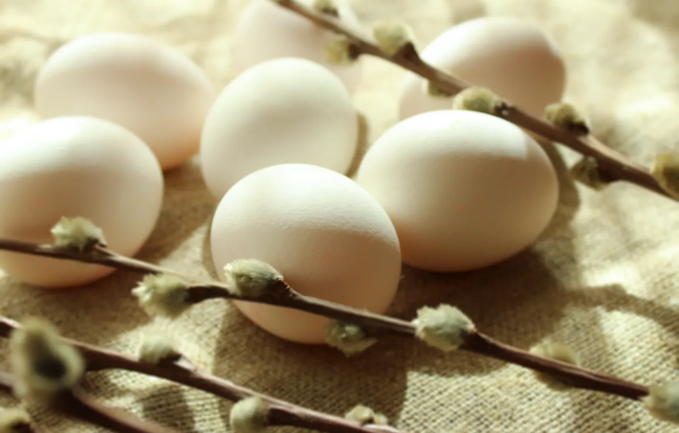 Photo wallpaper macro, light, branches, holiday, eggs, shadow, spring, Easter
