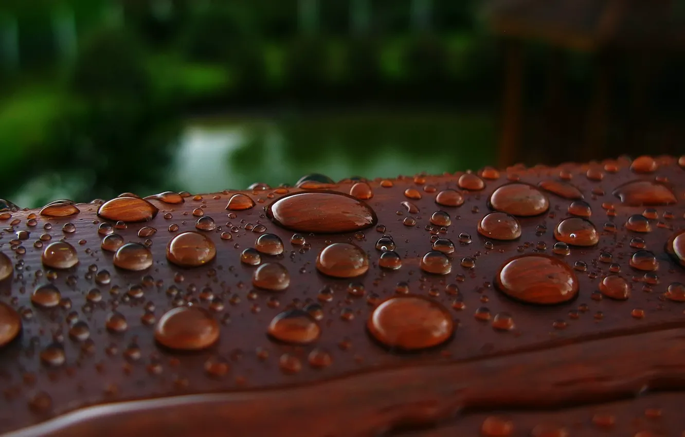 Photo wallpaper water, drops, railings