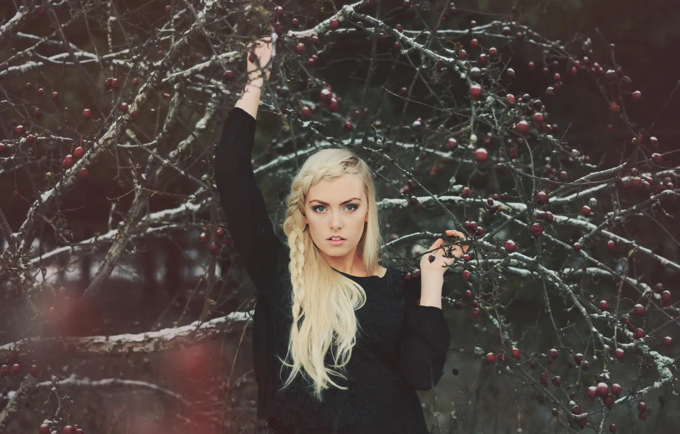 Photo wallpaper snow, blonde, braid
