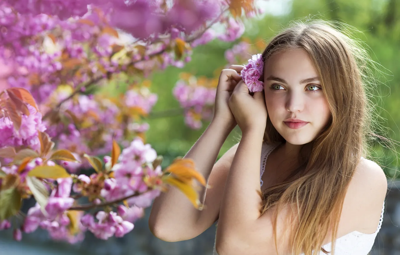 Photo wallpaper look, girl, smile, spring, girl, brown hair, brown hair, eyes