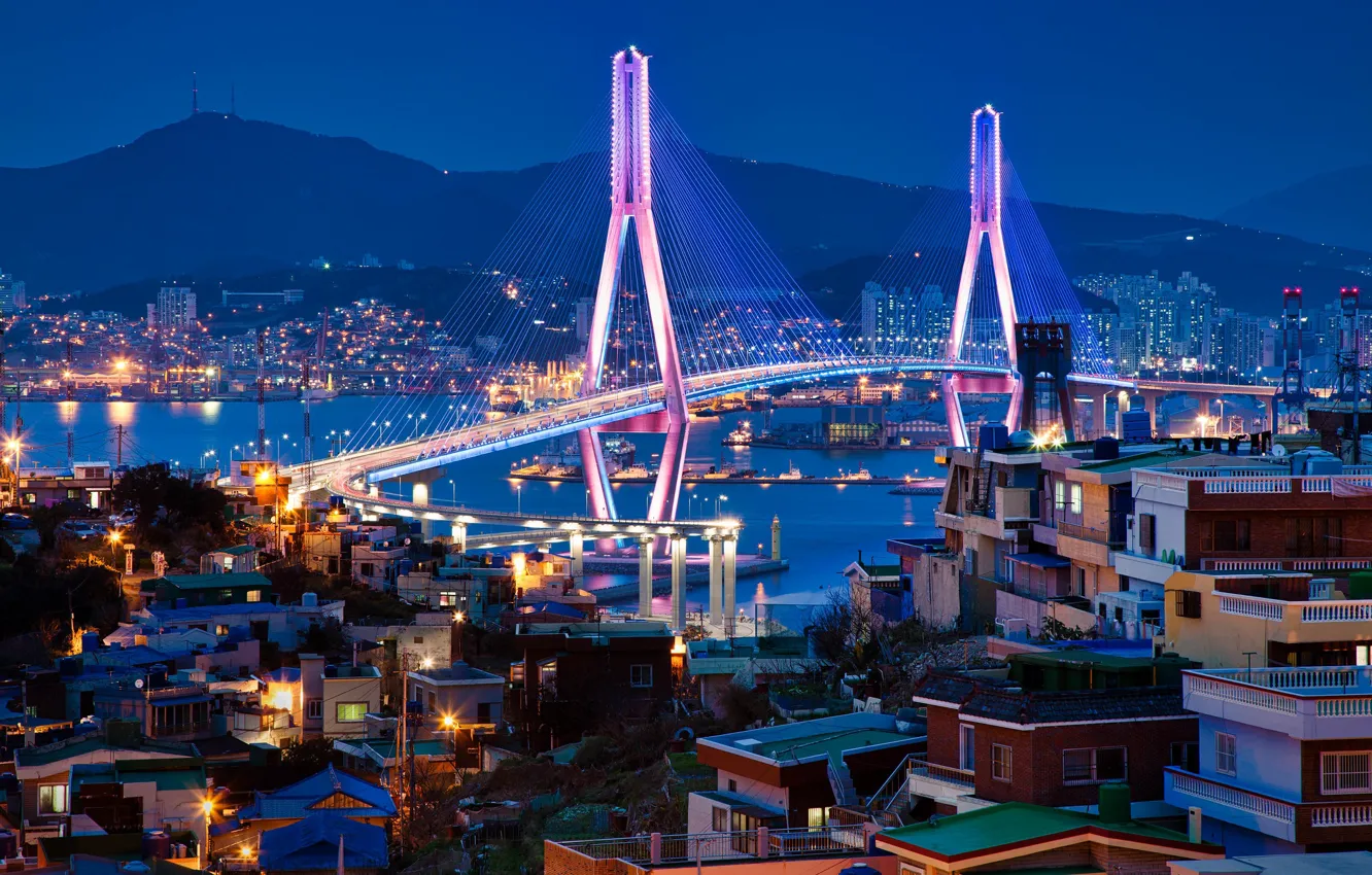 Photo wallpaper bridge, building, home, Bay, night city, South Korea, South Korea, Busan