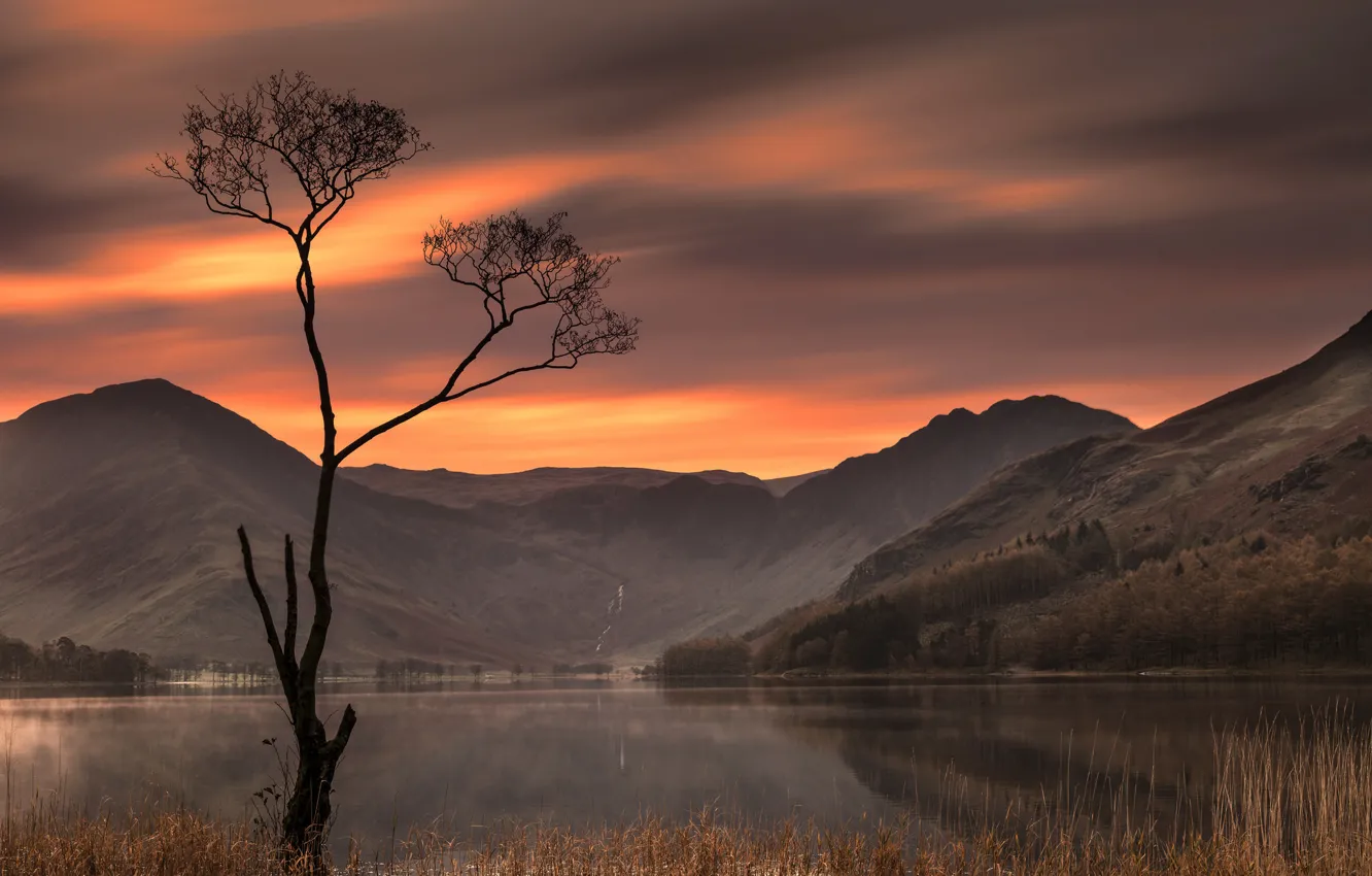 Photo wallpaper sunset, mountains, lake, tree, England, England, The lake district, Lake District