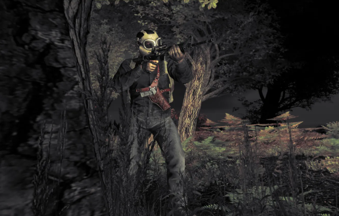 Photo wallpaper game, DayZ, Dayz Standalone, Survival