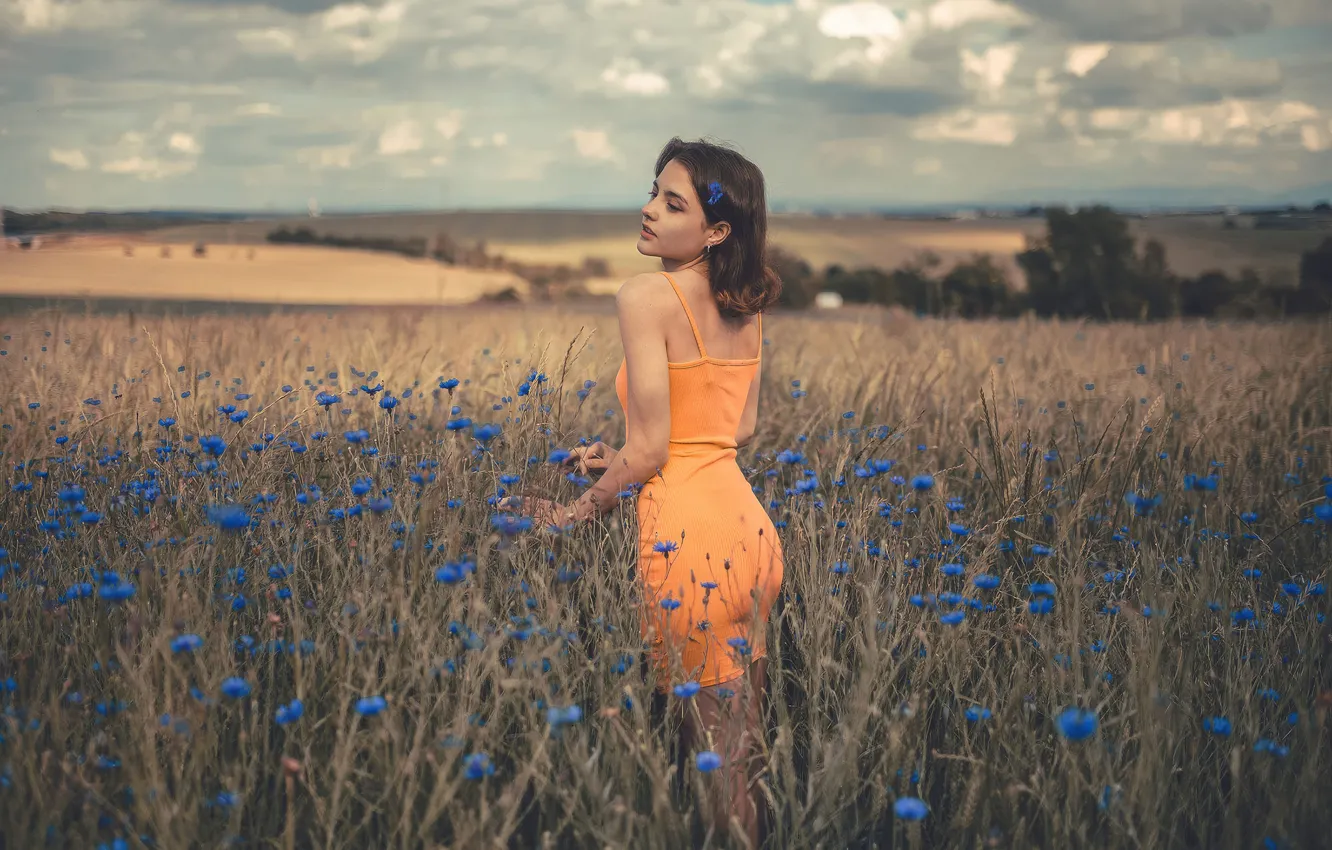 Photo wallpaper field, summer, girl, flowers, nature, photo, dress