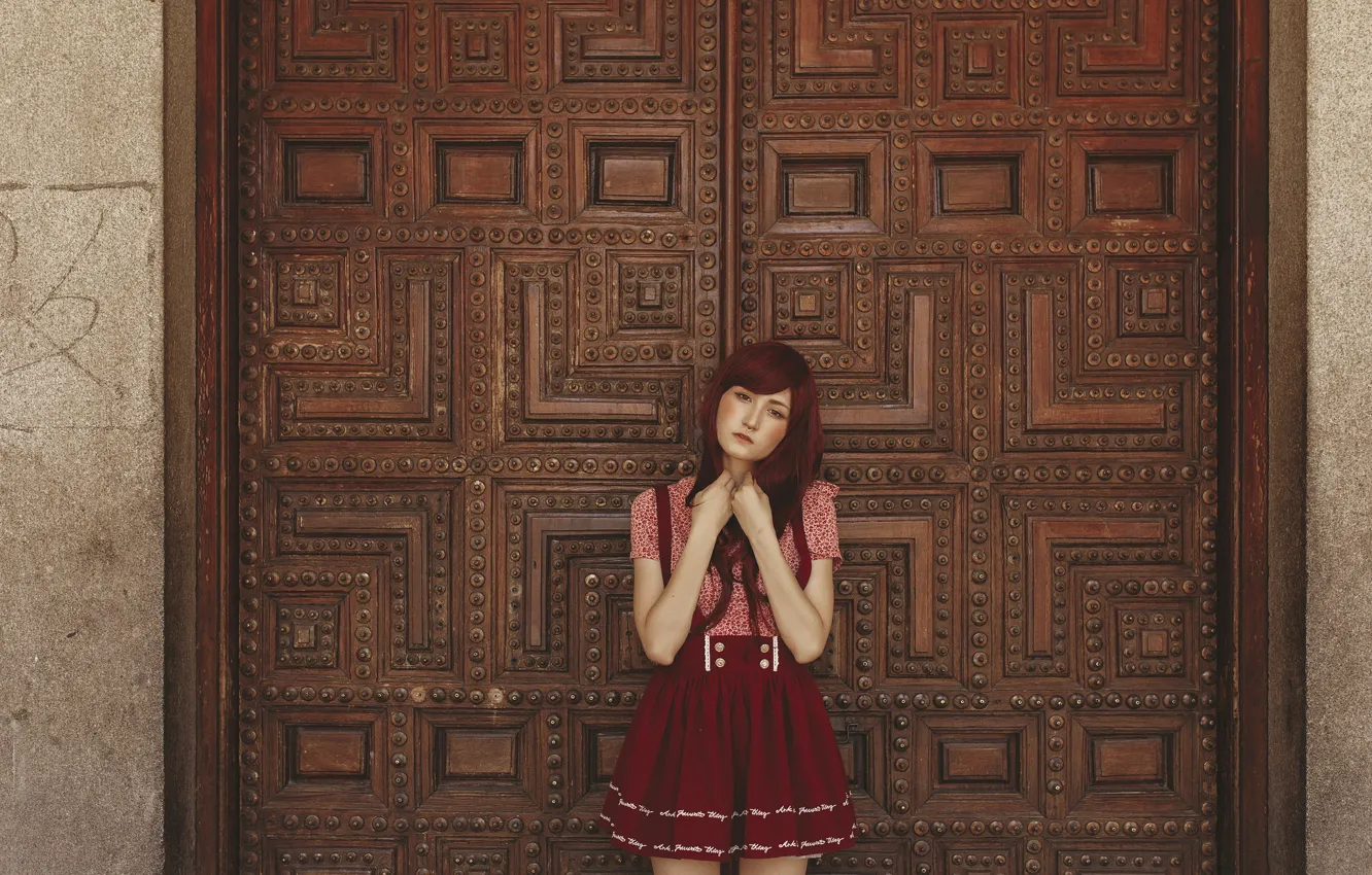 Photo wallpaper look, girl, background, hair, the door, skirt