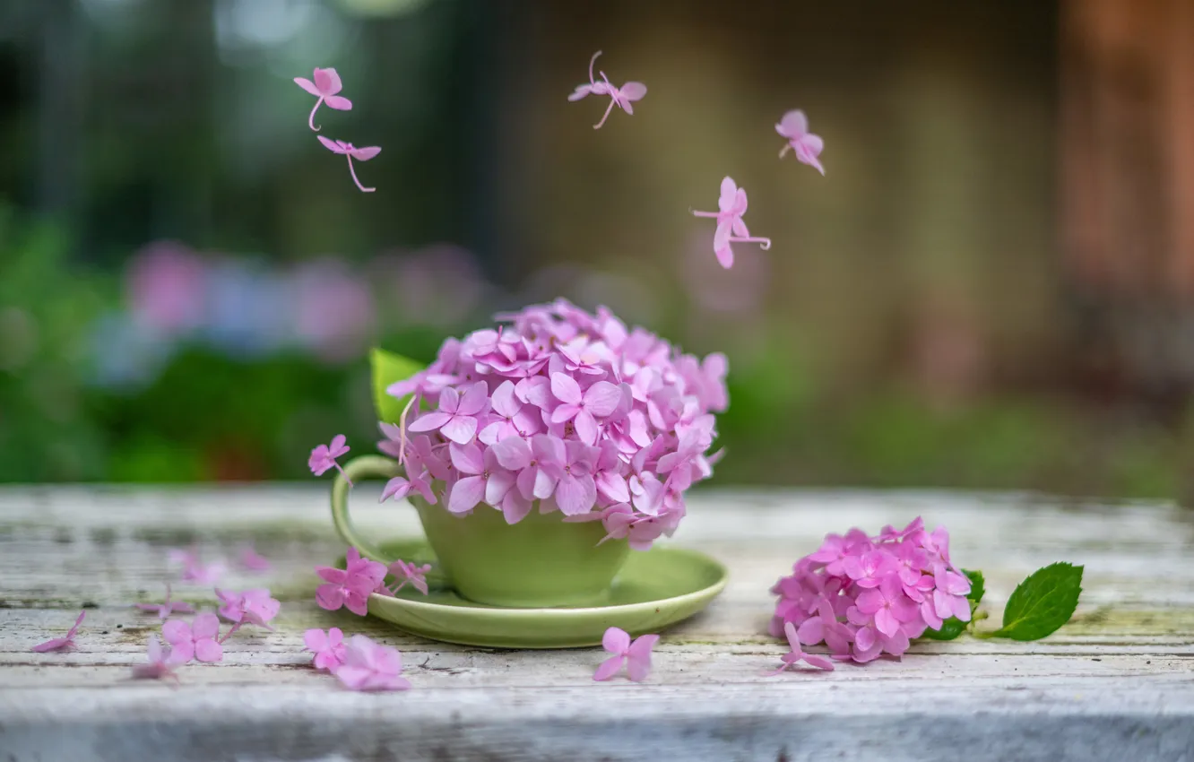 Photo wallpaper pink, mug, flowers, saucer, hydrangea