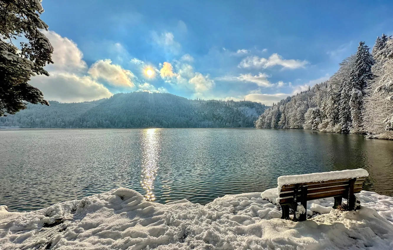 Photo wallpaper winter, forest, snow, mountains, lake, bench