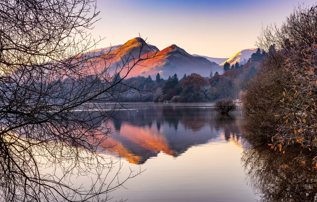 Photo wallpaper mountains, branches, nature, lake