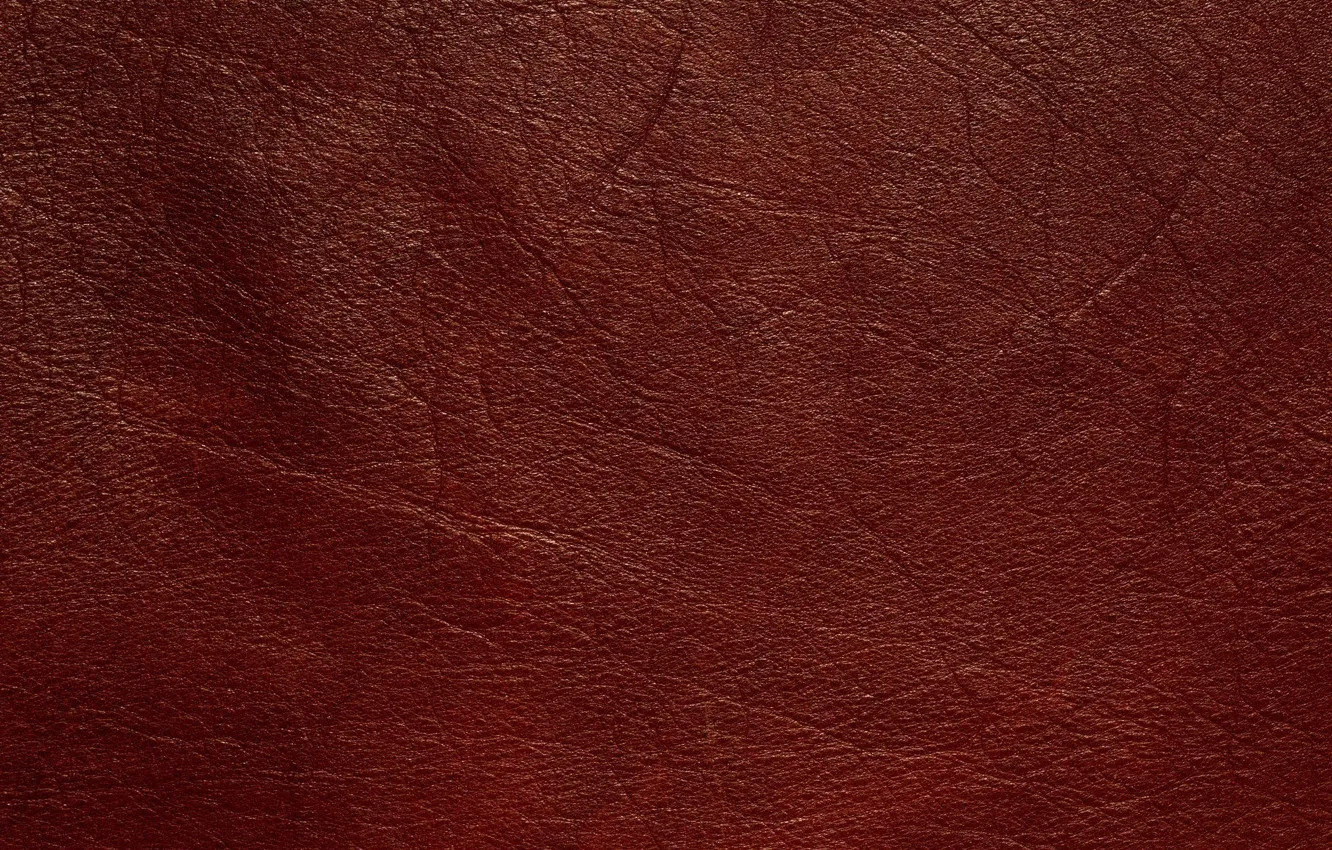 Photo wallpaper texture, leather, veins, animal texture, background desktop, dressing