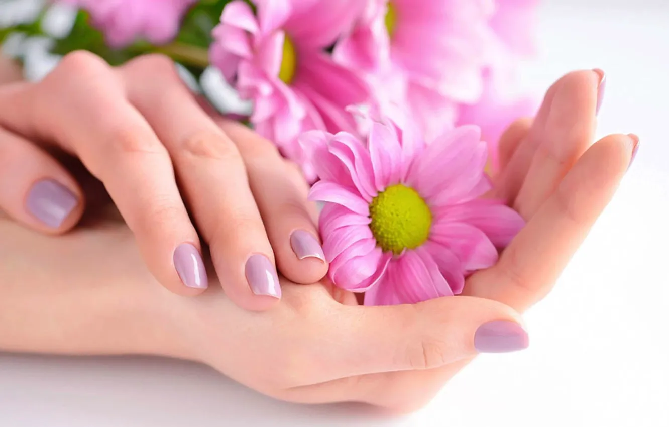 Photo wallpaper flowers, hands, manicure