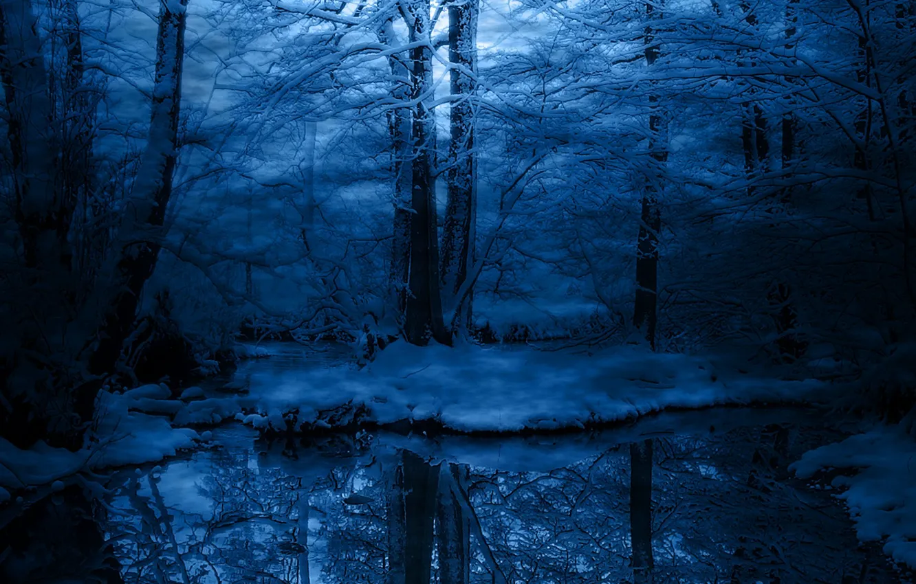 Photo wallpaper cold, winter, frost, snow, trees, blue