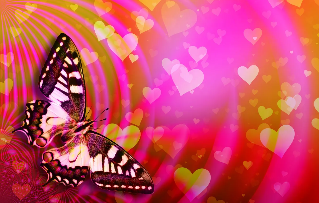 Photo wallpaper butterfly, hearts, Valentine's Day
