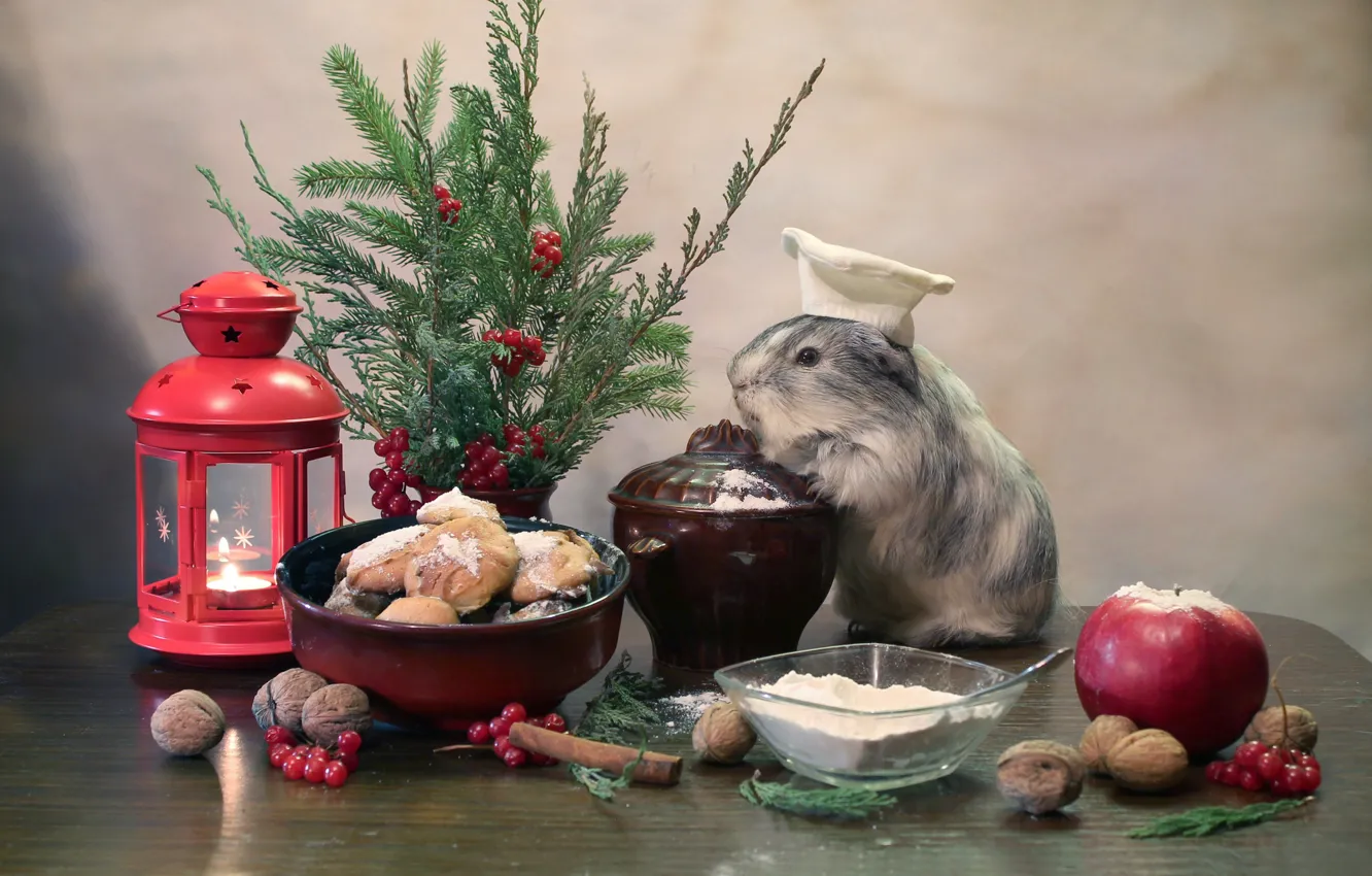 Photo wallpaper winter, animal, tree, candles, cookies, flashlight, December, composition