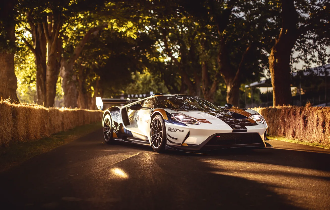 Photo wallpaper machine, the sun, Ford, Trees, Ford GT, sports car, Mk II