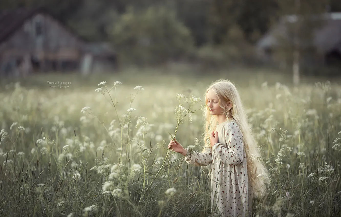 Photo wallpaper field, grass, flowers, hair, girl, Photographer Tatiana Nadezhdina
