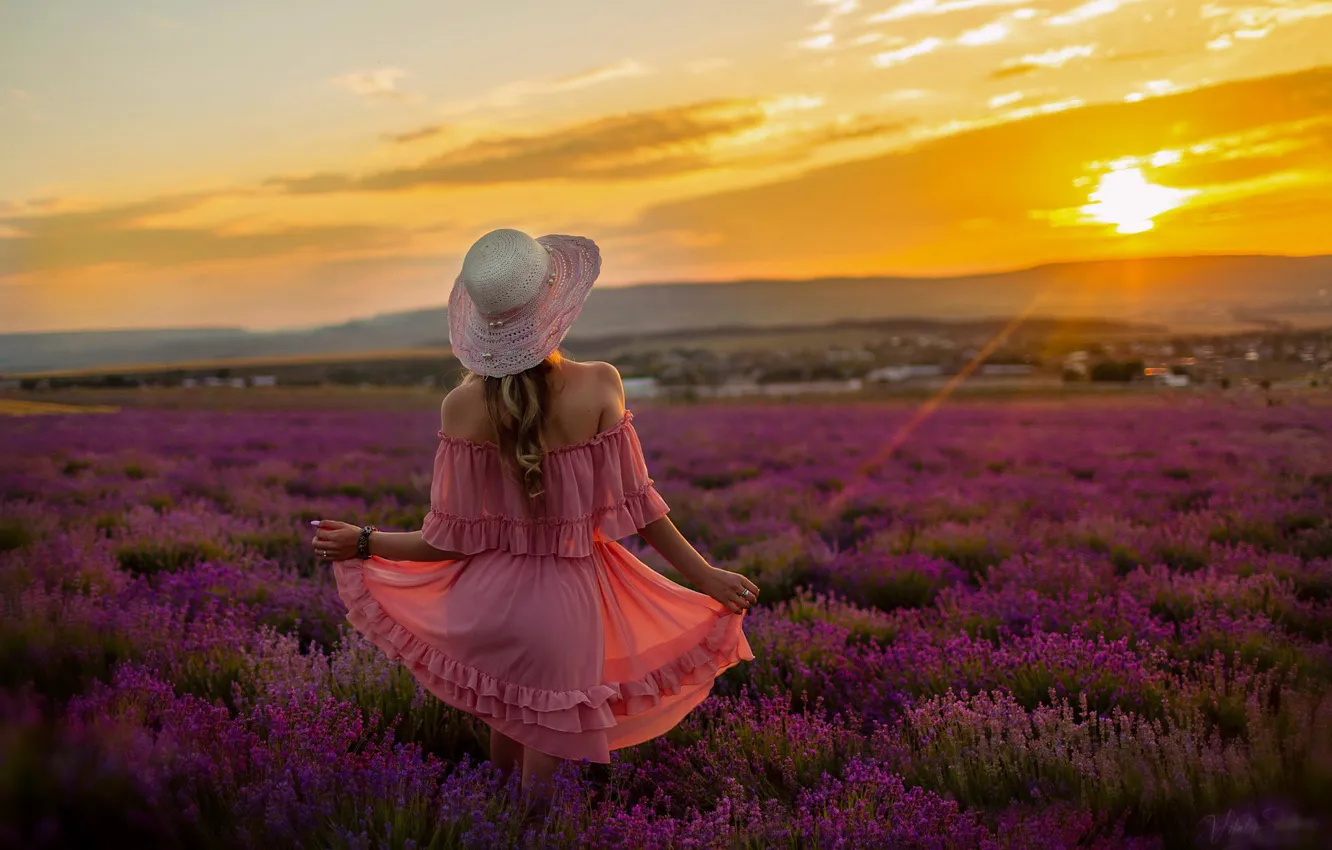Photo wallpaper field, summer, girl, sunset, flowers, nature, photo, model