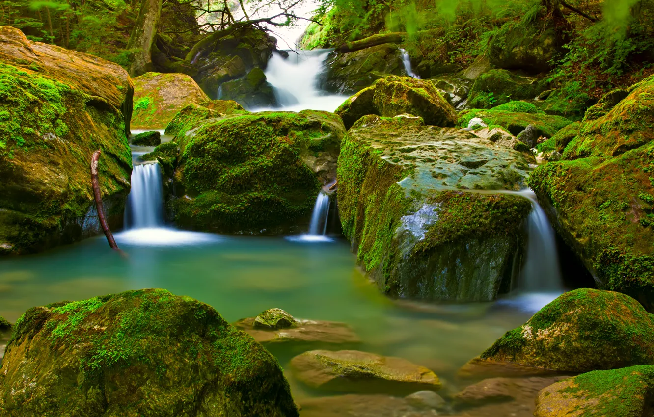 Photo wallpaper forest, waterfall, moss