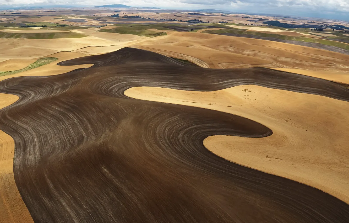 Photo wallpaper field, landscape, color, harvest, cleaning, Washington State, Wheat Field, Palouse hills