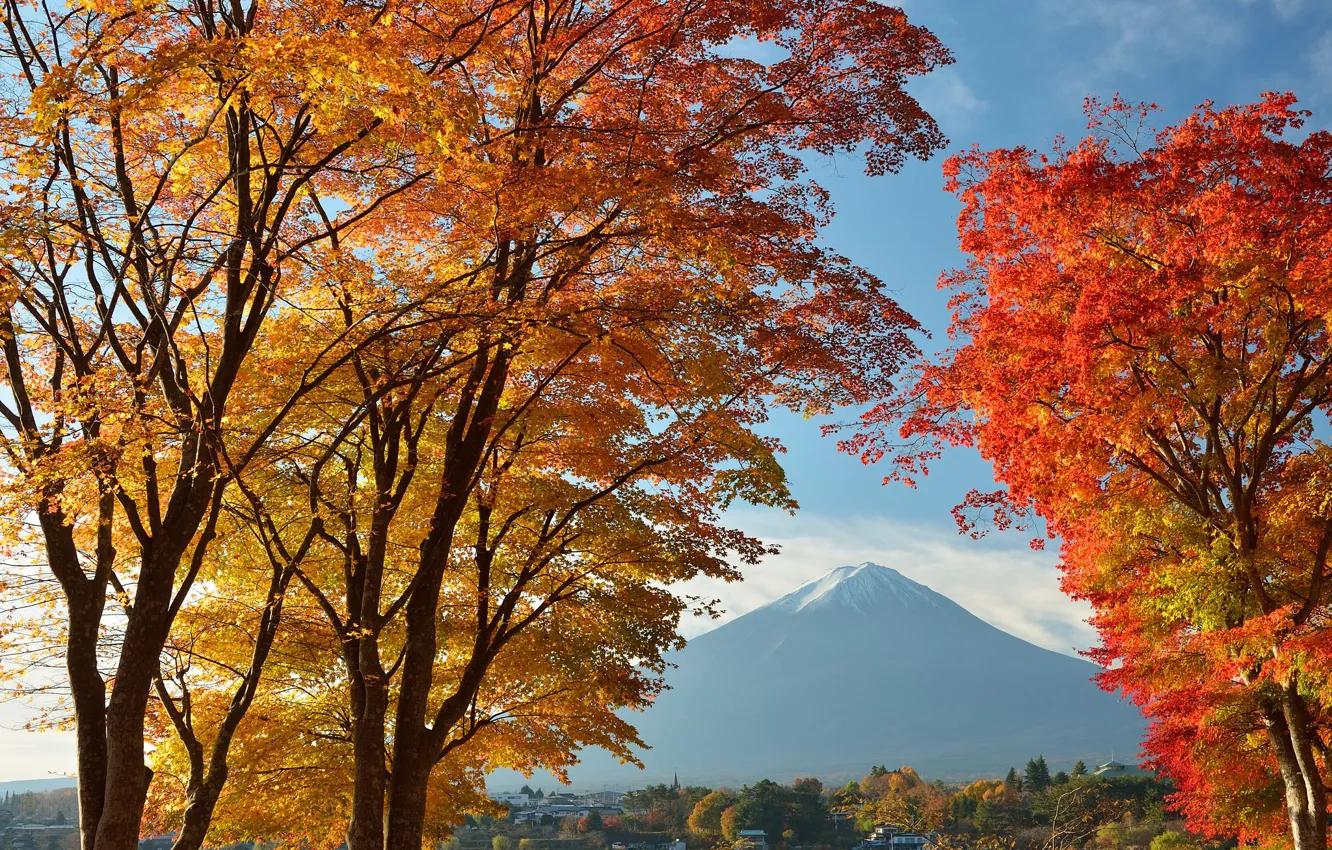 Photo wallpaper autumn, the sky, leaves, trees, lake, home, Japan, mount Fuji