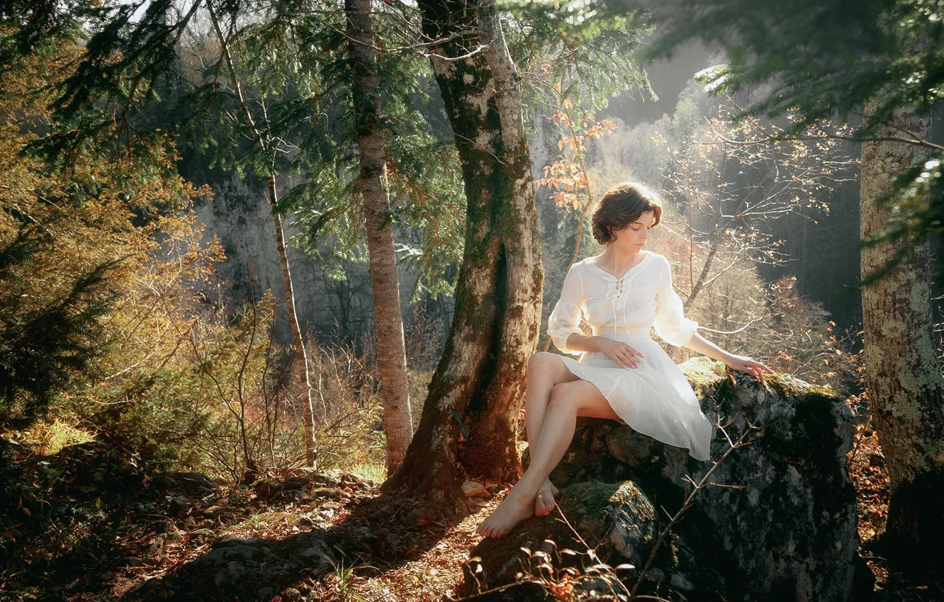 Photo wallpaper forest, look, girl, the sun, nature, pose, legs, Andrey Vasilyev