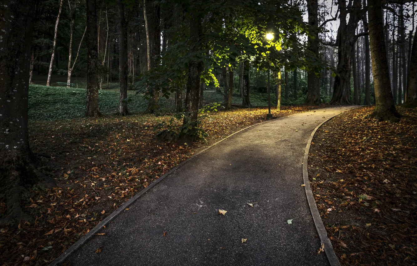 Photo wallpaper autumn, Park, track