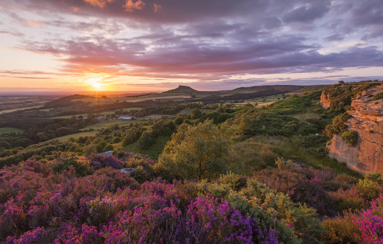 Photo wallpaper the sun, clouds, flowers, mountains, rocks, dawn, hills, view