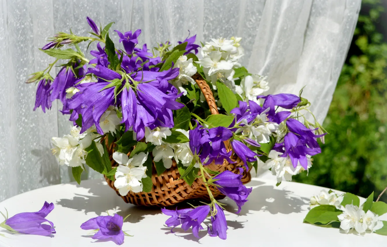 Photo wallpaper basket, bells, Jasmine