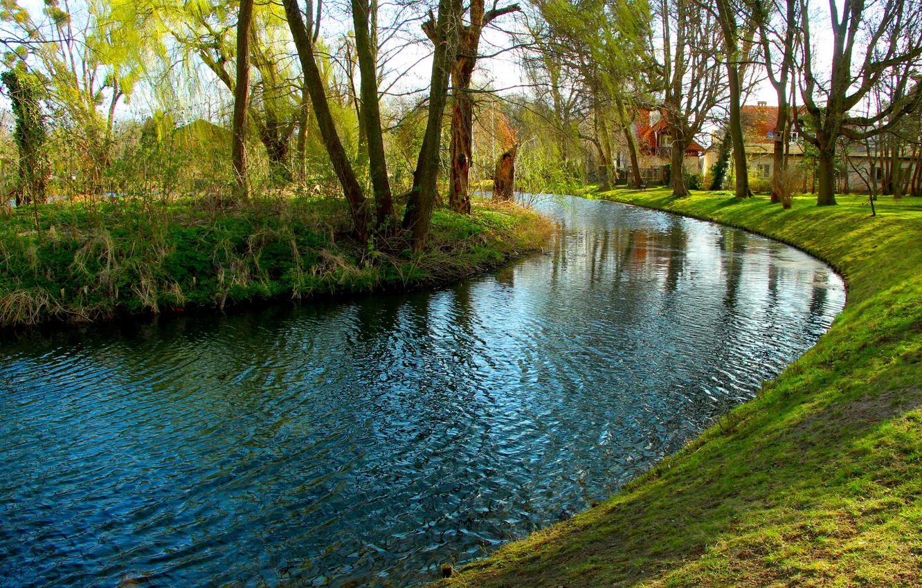 Photo wallpaper water, park, Brook