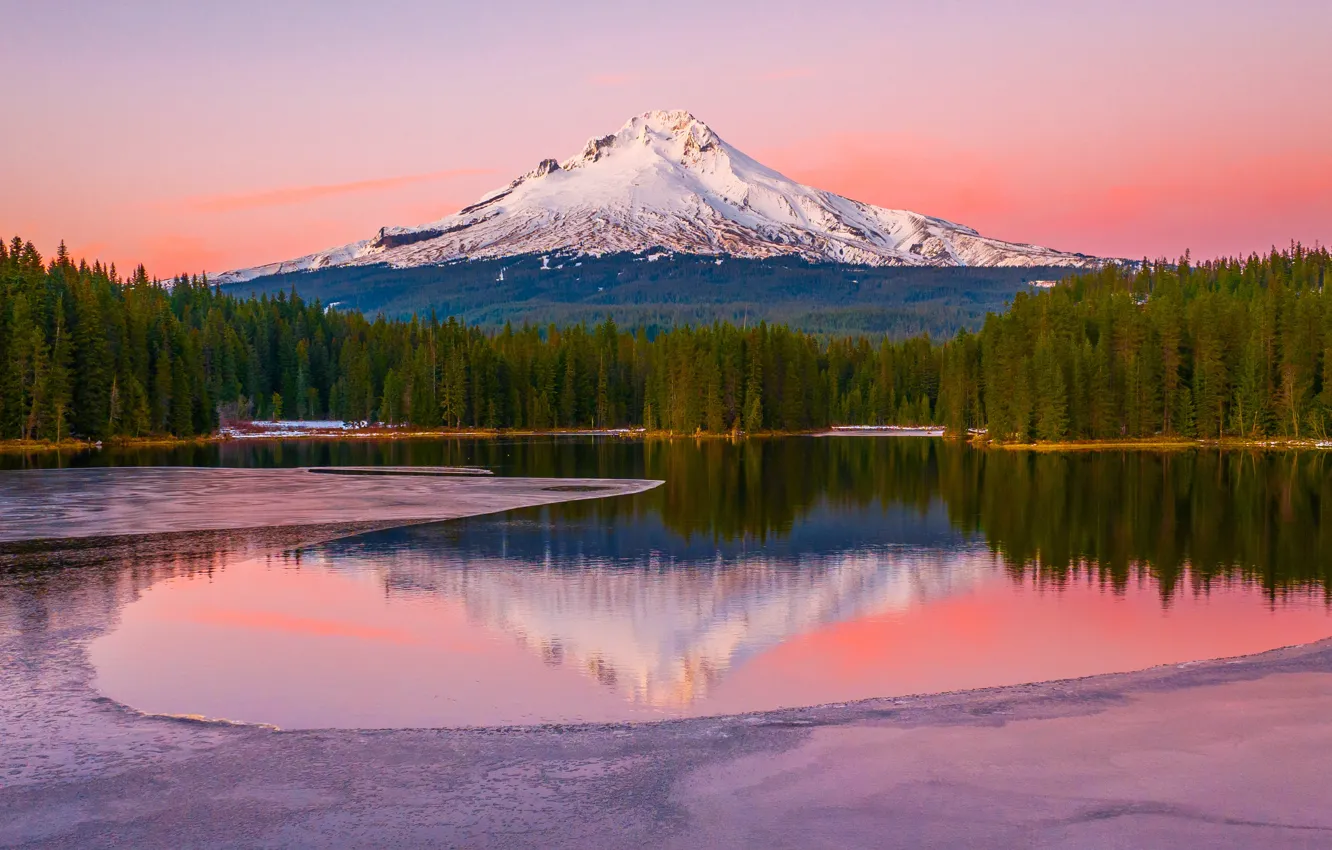 Photo wallpaper forest, the sky, snow, trees, landscape, mountains, nature, USA