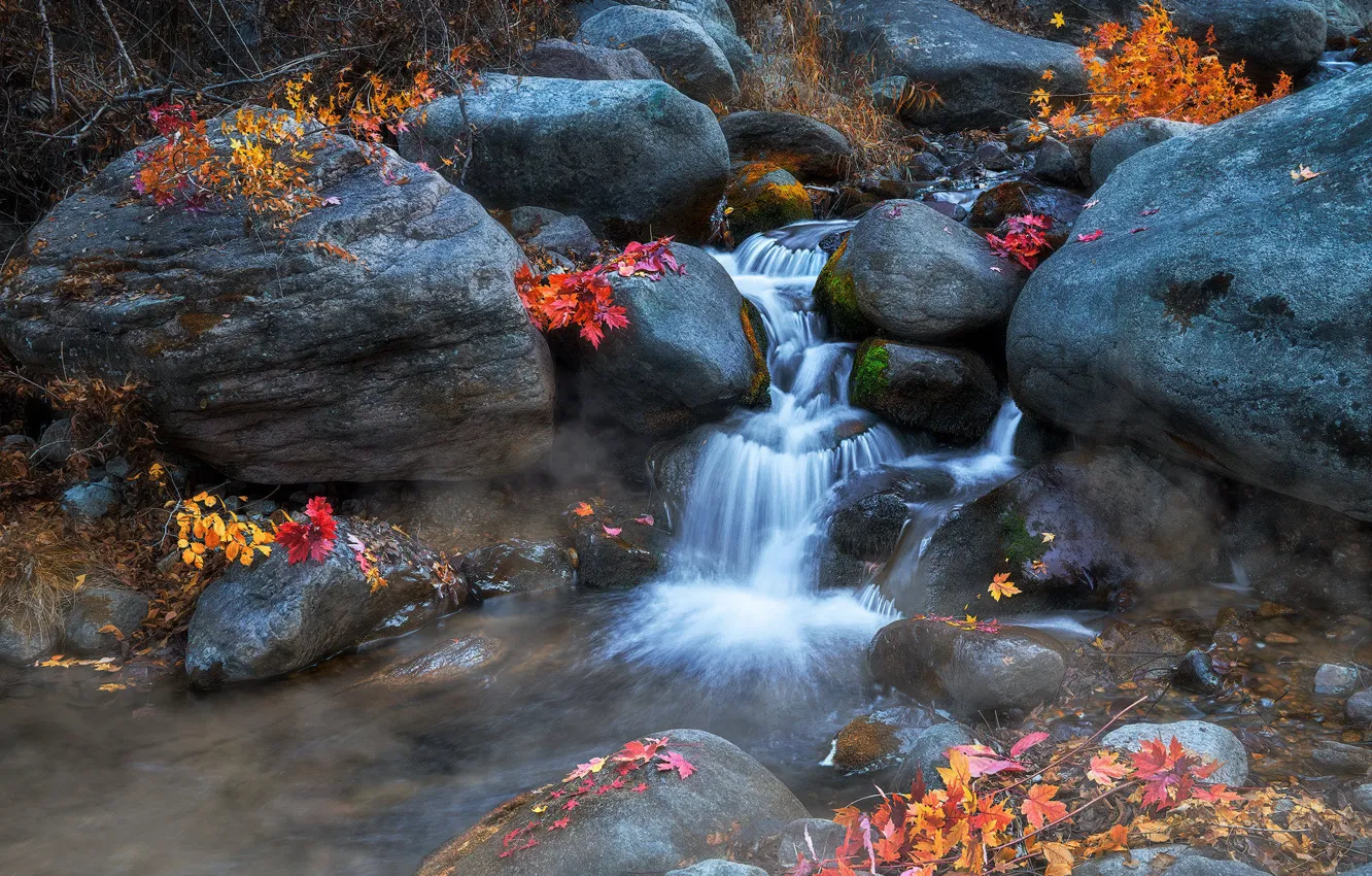 Photo wallpaper autumn, stones, waterfall, autumn leaves