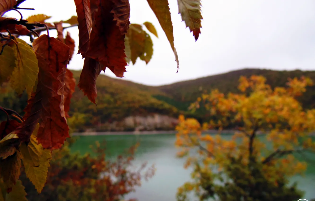 Photo wallpaper autumn, the sky, leaves, macro, mountains, lake, village, October