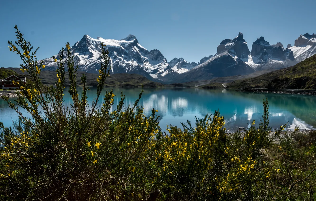 Photo wallpaper mountains, lake, shore, home, the bushes, Chile