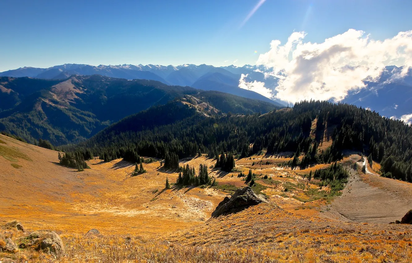 Photo wallpaper the sky, clouds, mountains, valley, USA, Hurricane Ridge