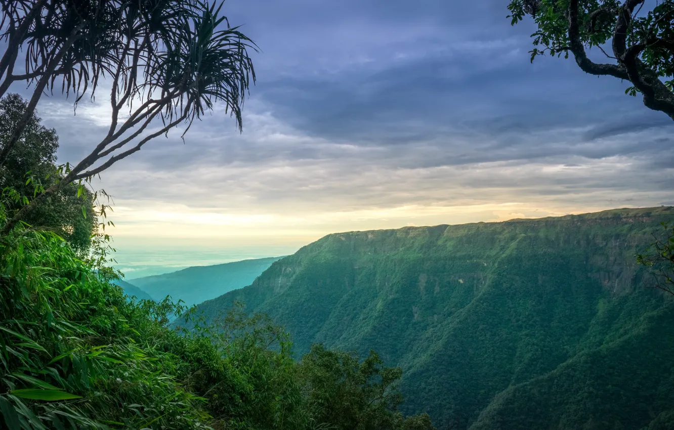 Photo wallpaper the sky, clouds, mountains, fog, tropics, palm trees, vegetation, view
