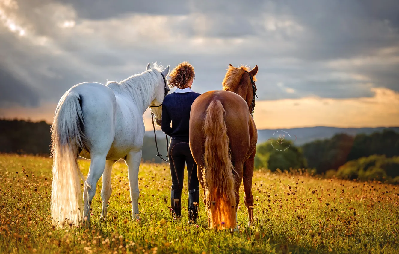 Photo wallpaper the sky, girl, nature, horse, meadow, Kerstin Benz