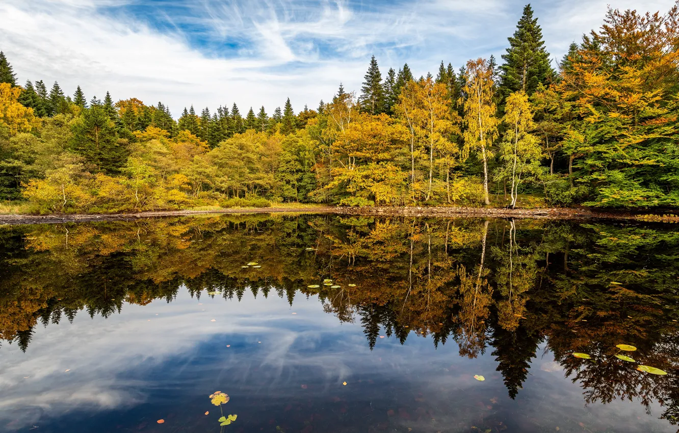 Photo wallpaper autumn, forest, clouds, reflection, shore, pond, Golden autumn, mirror